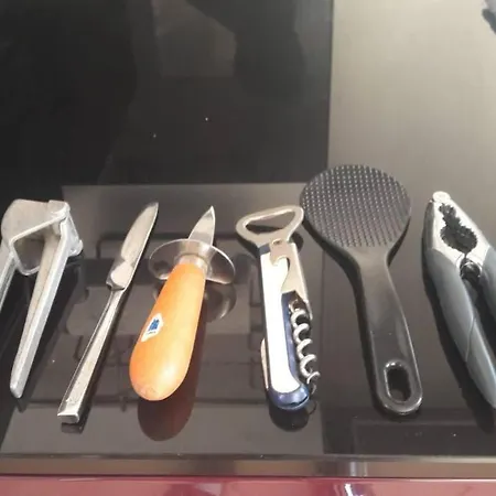 Hébergement de vacances Climatisée Piscine 3 à 800m Antibes